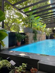 Holland Grove (D10), Semi-Detached #467723701